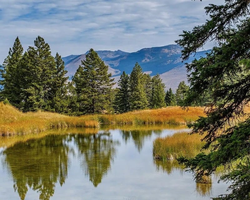 Yellowstone Small-Group Guided Tour