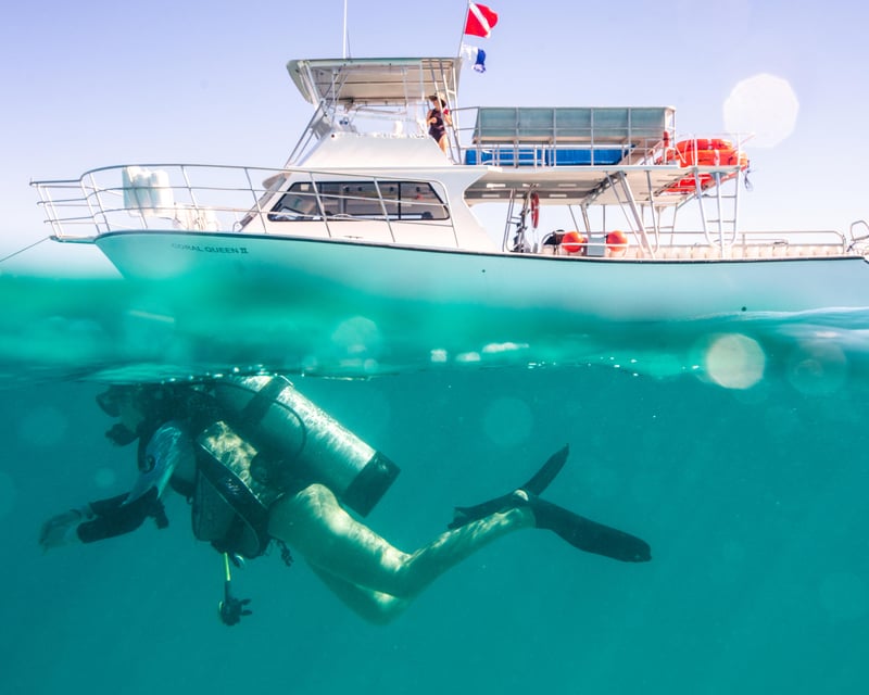 PADI Specialty Diving Course in Fajardo
