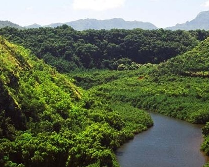 Lahaina Kayak & Paddle Board Rental to Secret Falls