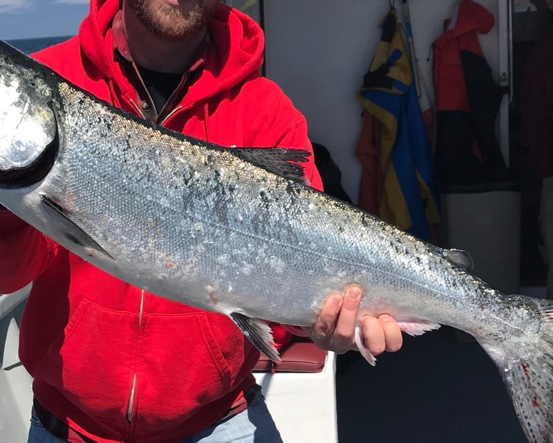 Salmon & Bottomfish Fishing Charter in Westport