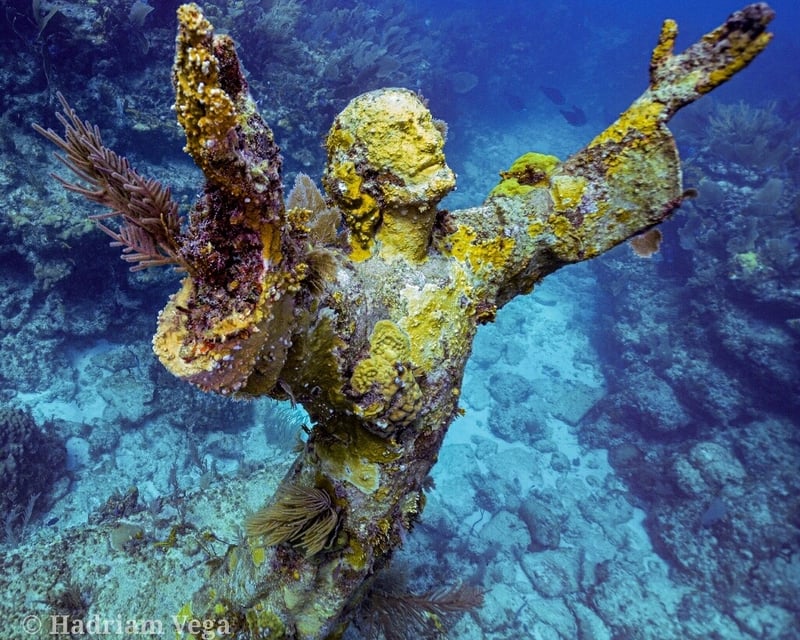 Key Largo Coral Reef Scuba & Snorkel Boat Trip