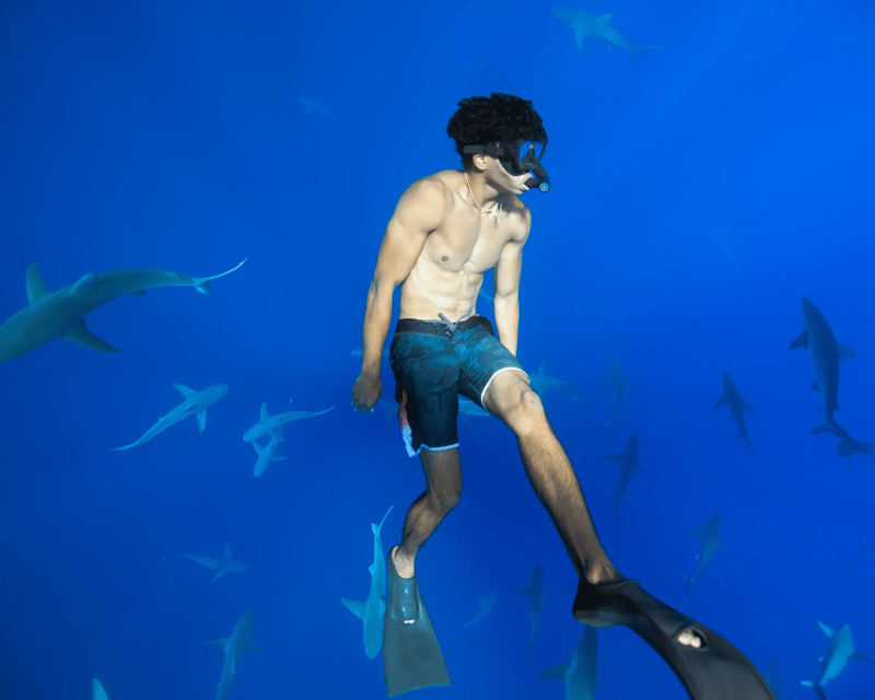 Snorkel With Sharks in Haleiwa