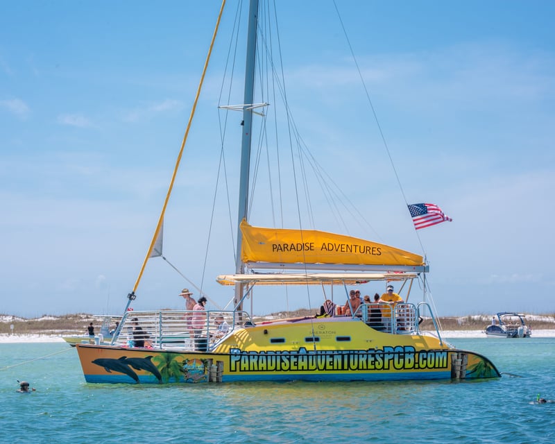 Shell Island Snorkeling & Dolphin Cruise In Panama City Beach