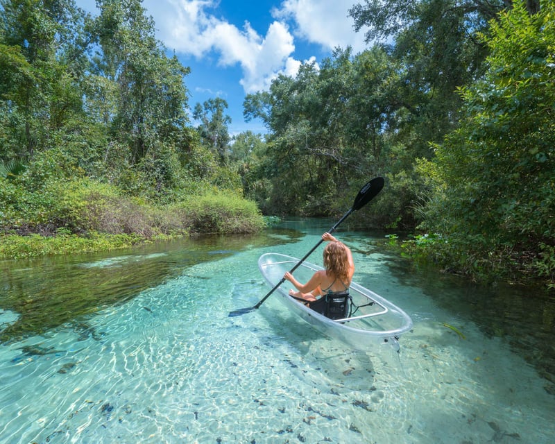 Rock Springs Run Clear Kayak Tour in Apopka