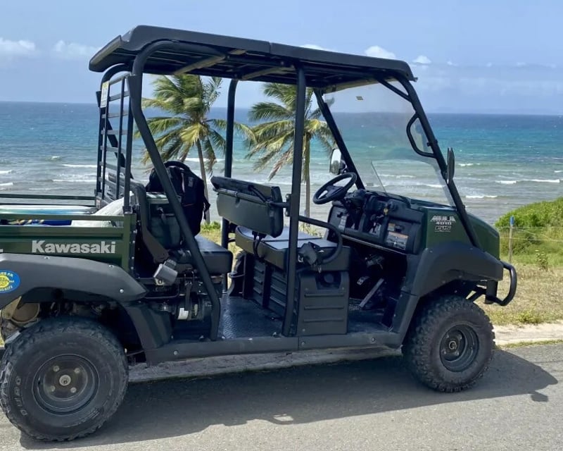 4-Passenger UTV Rental in Vieques