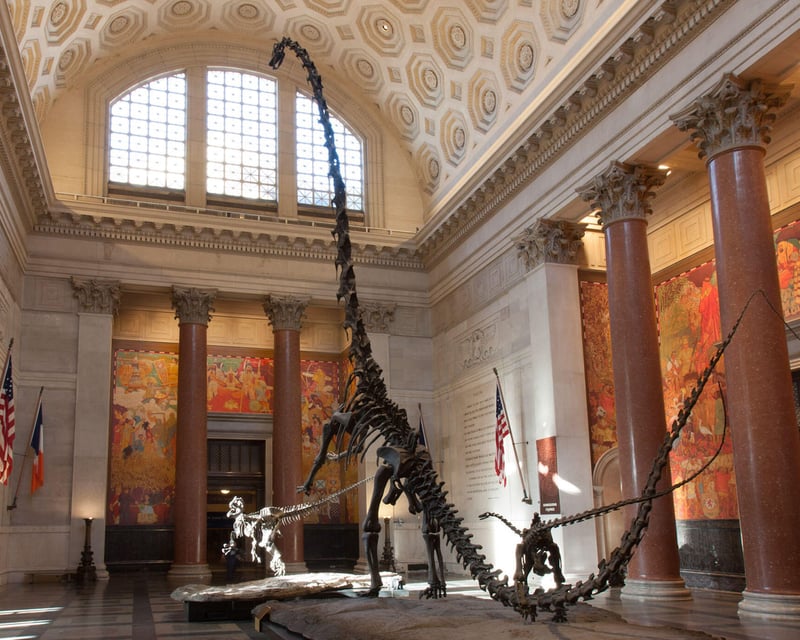 American Museum of Natural History Admission in New York