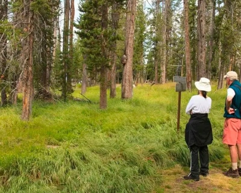 Private Yellowstone Walking Safari
