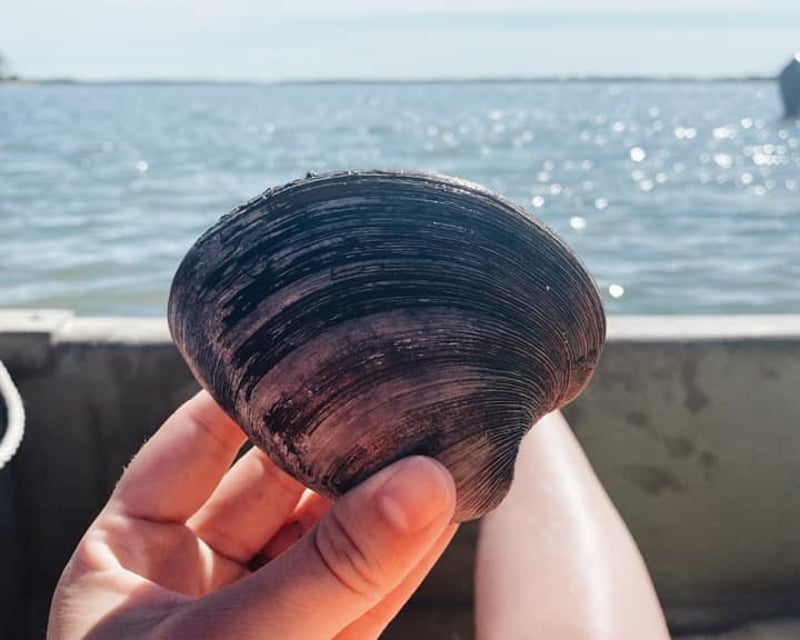 Hands-On Clam Digging & Oyster Farm Tour in Chincoteague