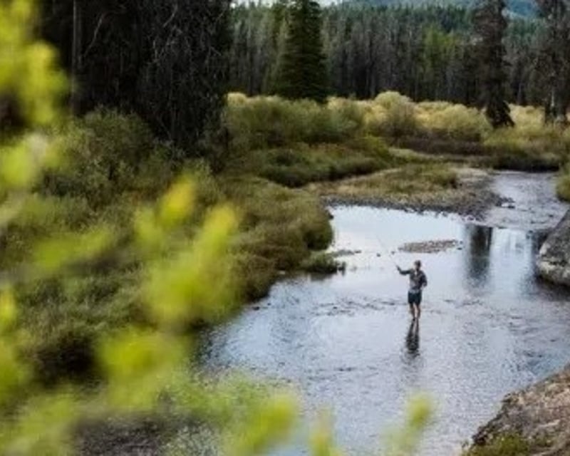 Full-Day Bitterroot River Fly Fishing Trip in Montana