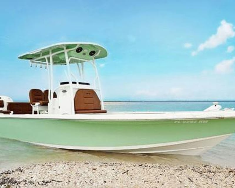 4-Hour Shelling Tour of Ten Thousand Islands