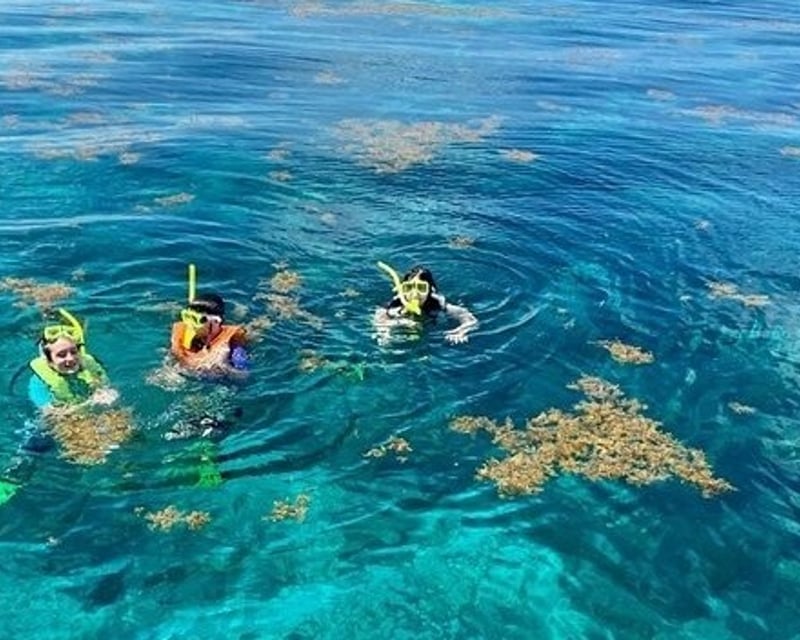 Morning Snorkeling Charter in Marathon