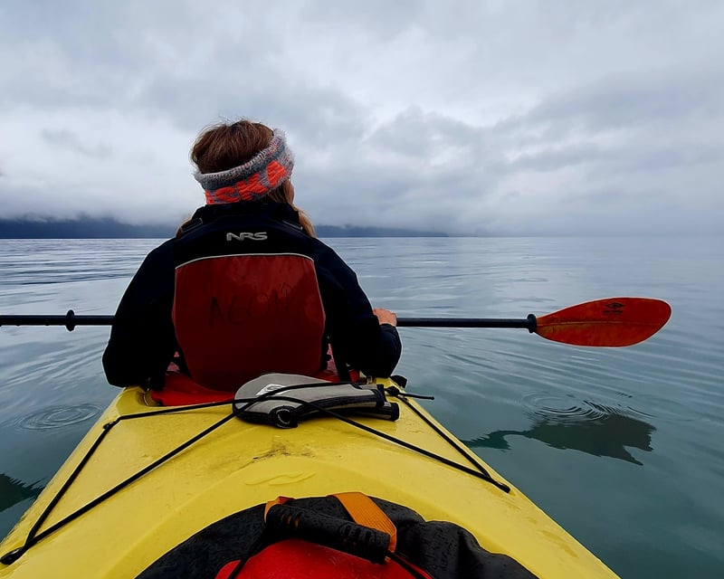 Seward Kayak & Exit Glacier Hike