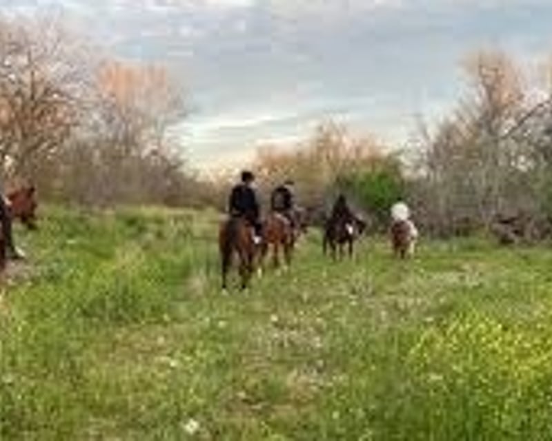 Private Horseback Riding Lesson in Palos Verdes Estates