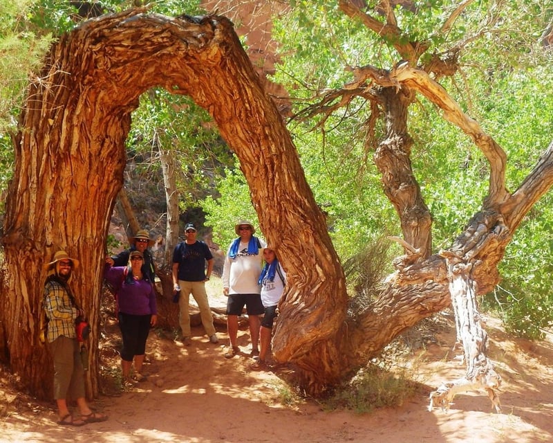 Labyrinth Canyon Multi-Day SUP Adventure