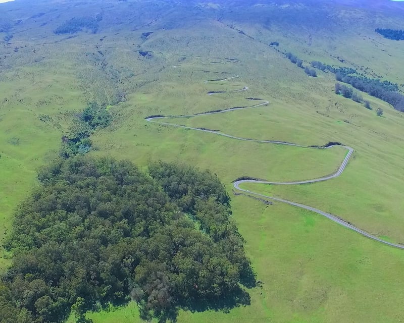 Haleakala Downhill Upcountry Self-Guided Bike Tour