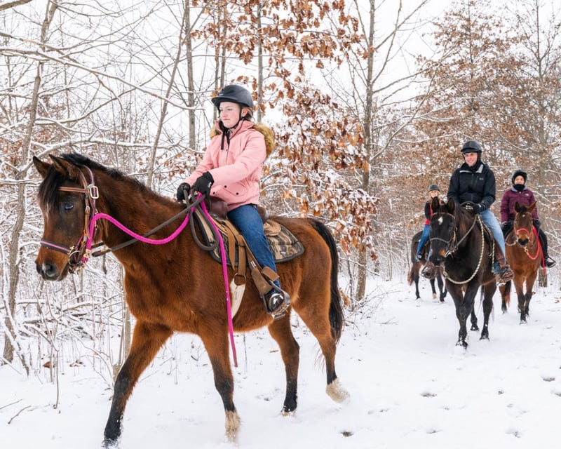 2-Mile Horseback Ride in Noblesville