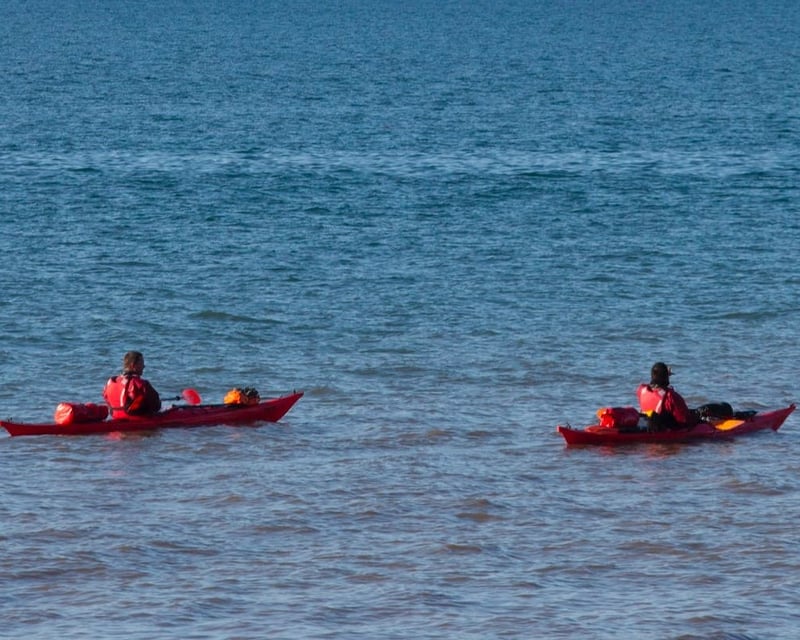 3-Hour Kayak Rental in Pinckney
