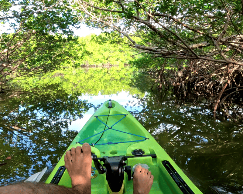 Neal Preserve 2-Hour Pedal Kayak Tour