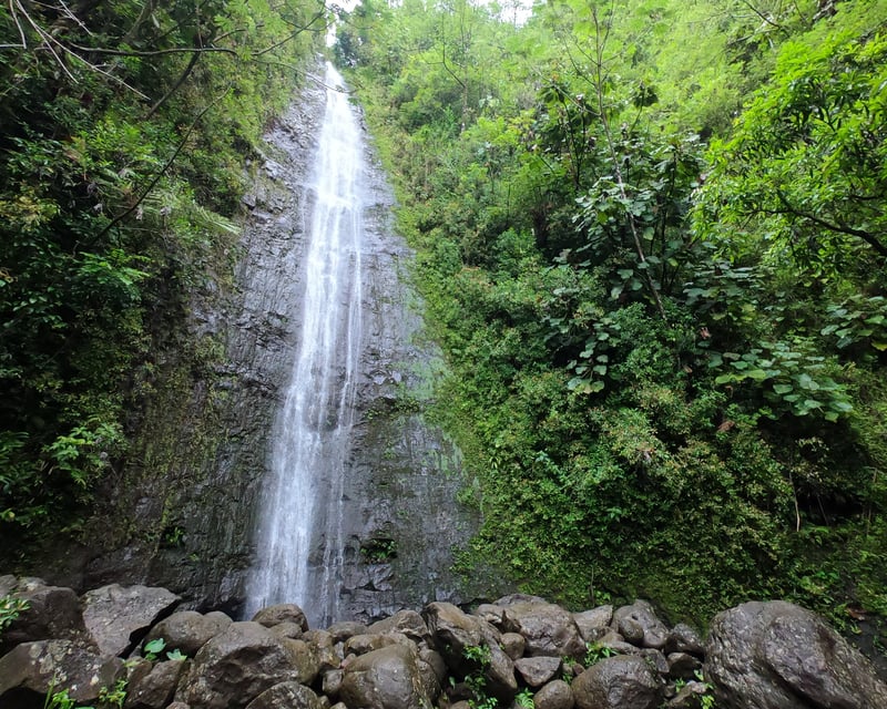 Hike Manoa Falls & Downhill Bike Ride in Oahu