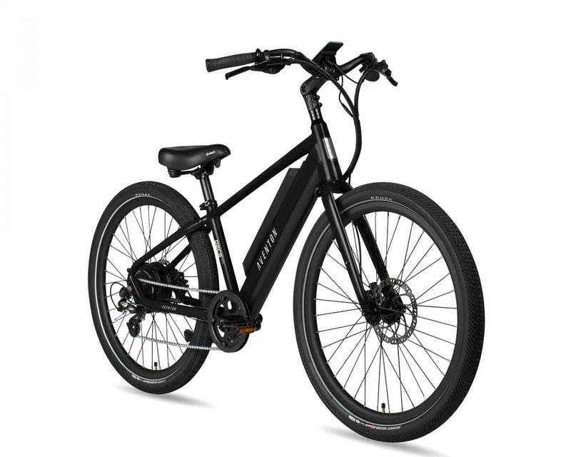 12-Hour E-Bike Rental in North Miami