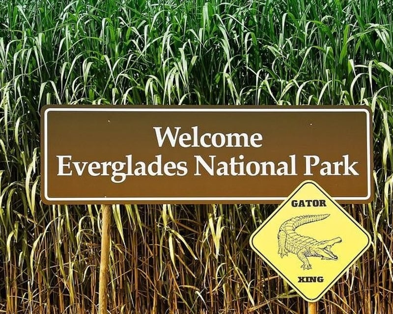 Private Everglades Airboat & Wildlife Tour from Miami