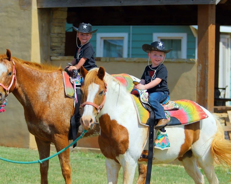 Private Farm Party with Pony Rides & Petting Zoo in Edmond