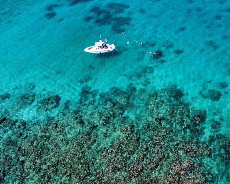 Private Palomino Island Snorkeling Boat Trip from Fajardo