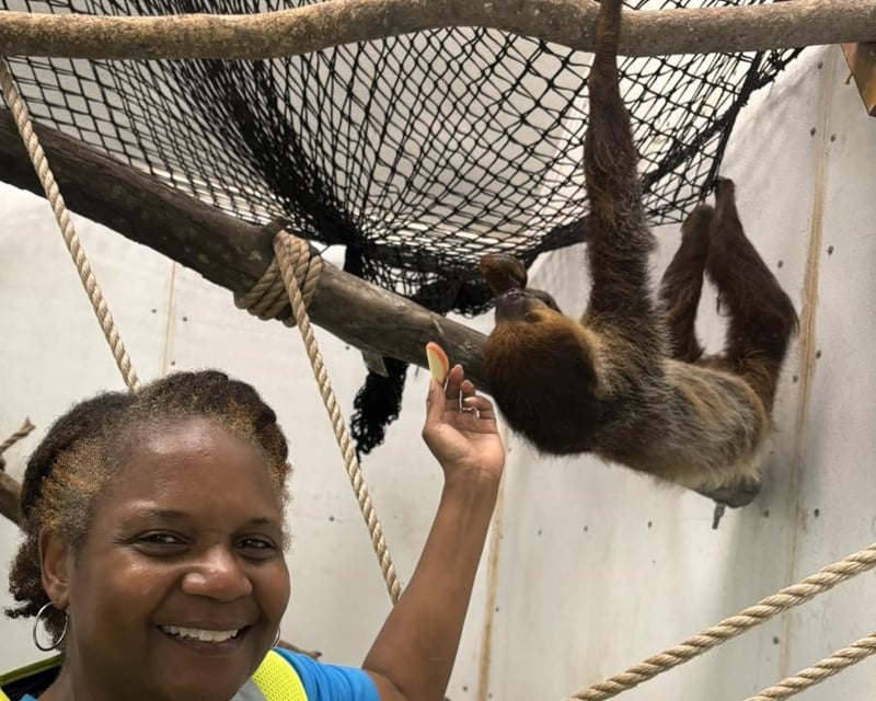 30-Minute Sloth Encounter in Lilburn