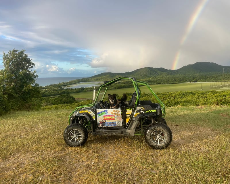100-Acre Off-Road UTV Buggy Tour in Vieques