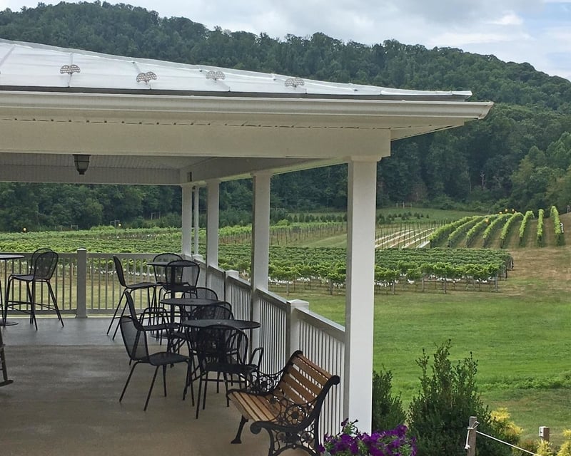 Wine & Cider Hop-On Tour from Charlottesville
