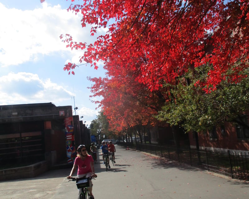 Explore Boston’s Emerald Necklace Fall Foliage Bike Tour