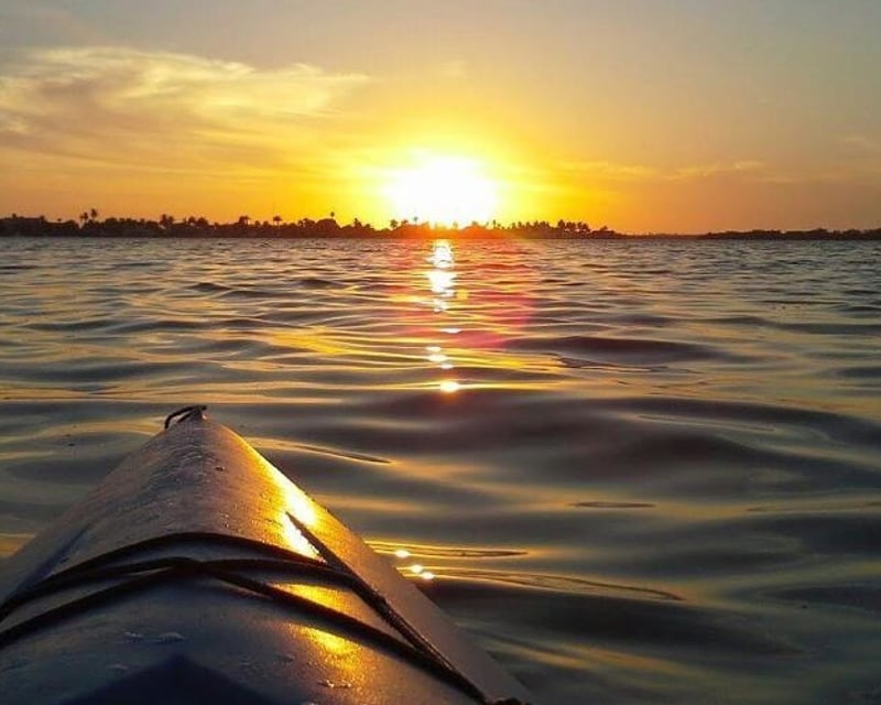 Early Morning Naturalist Kayak Tour in Cape Coral