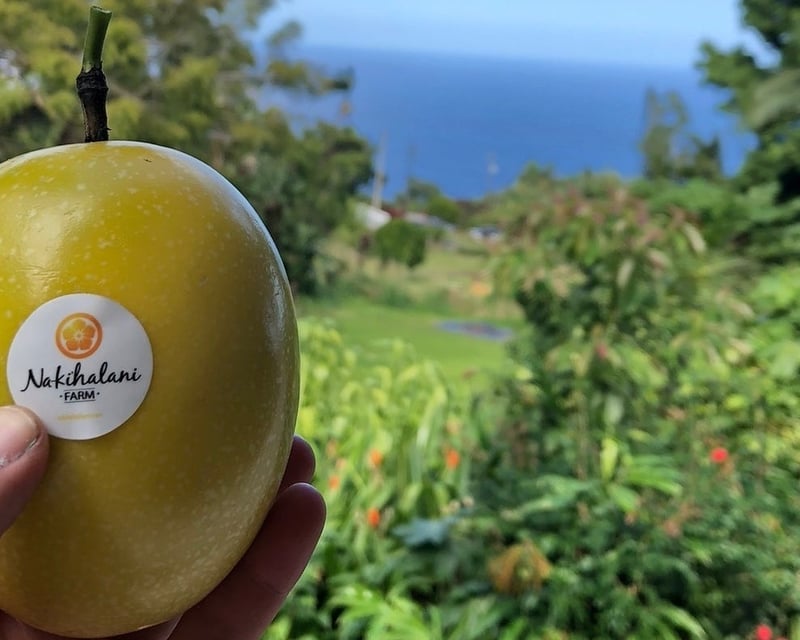 Lilikoi Farm Tour in Laupahoehoe
