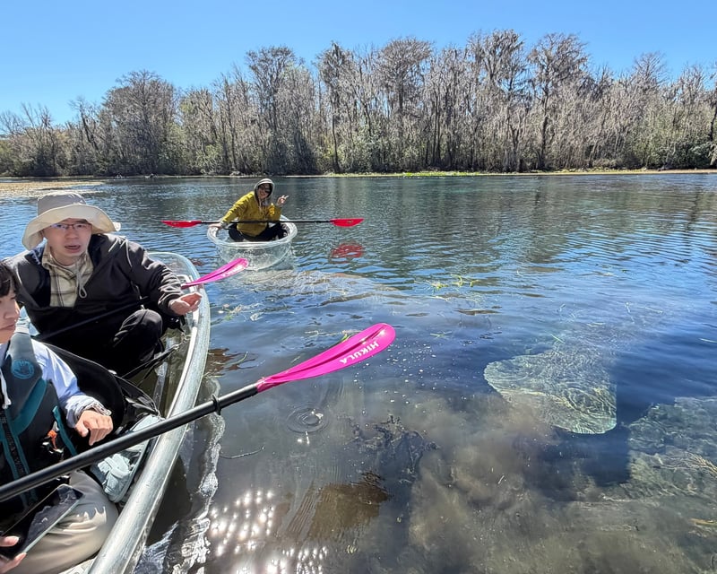 Private Clear Kayak Tour at Silver Springs State Park