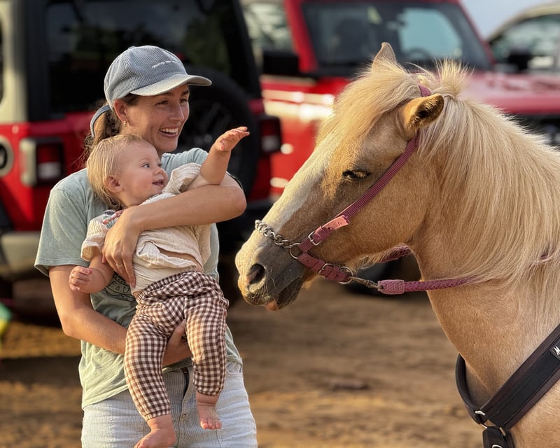 Beginner & Family Horseback Ride in Isabela, Puerto Rico