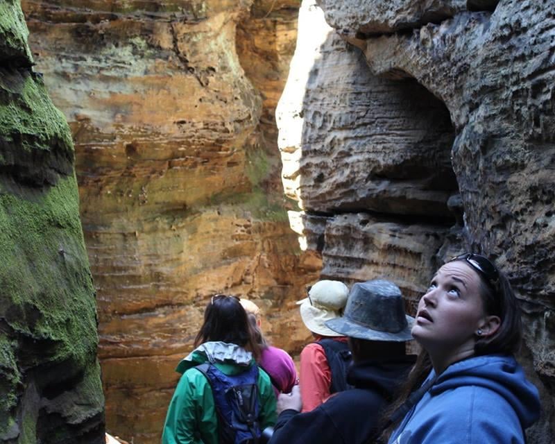 Explore a Guided Forest Ecotour in Hocking Hills