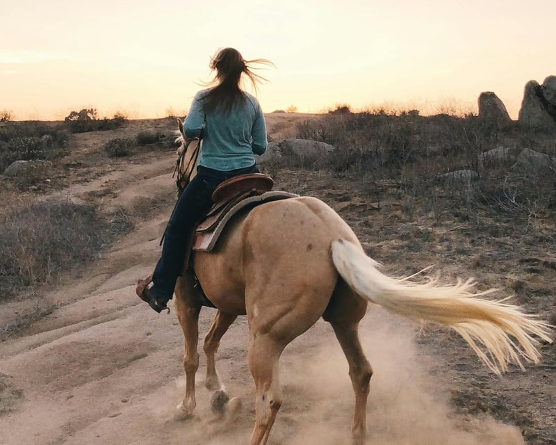 Horseback Riding with Rodeo Champions in Cannonville