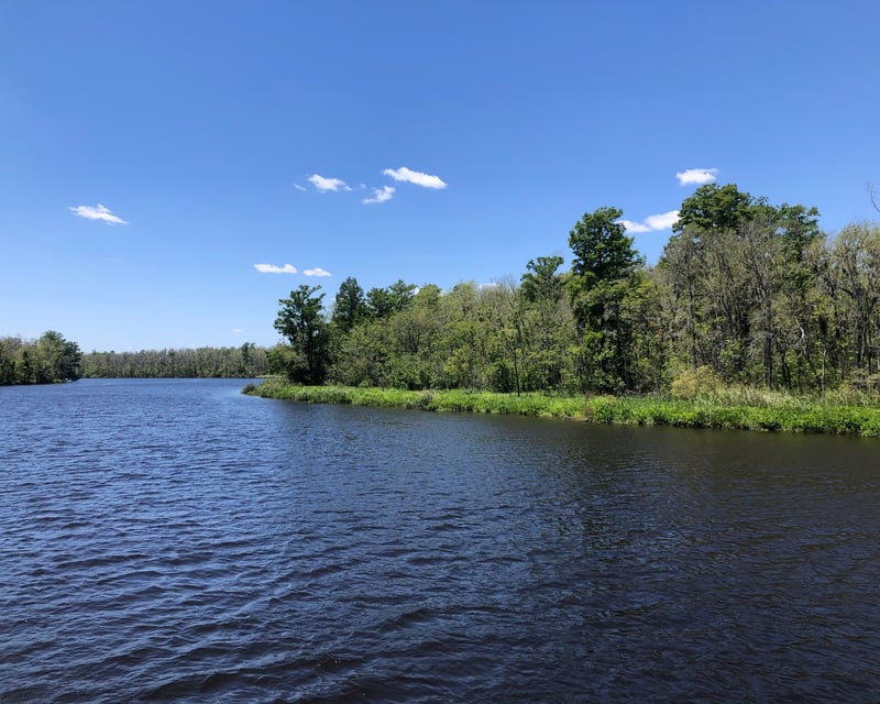 4-Hour Black River Nature Cruise From Wilmington