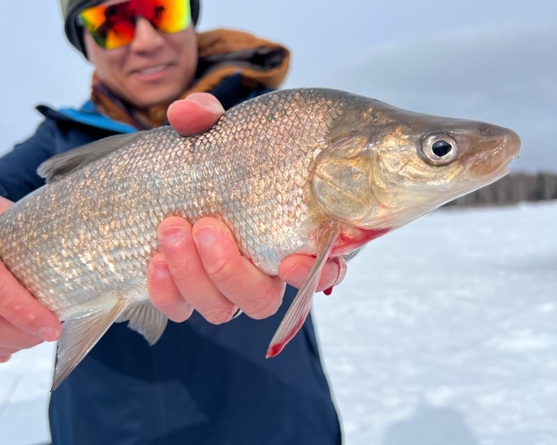 4-Hour Guided Ice Fishing Tour in Fairbanks