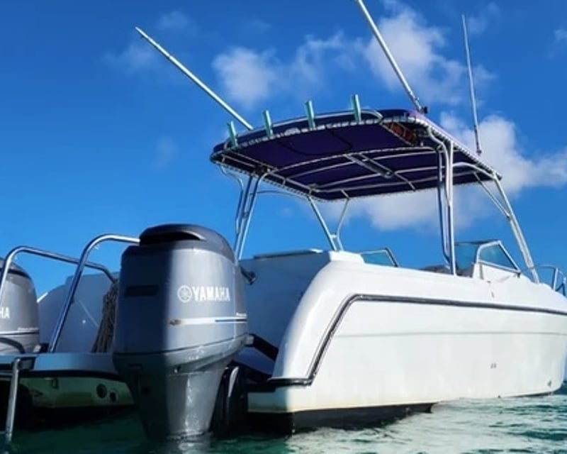 Private 27' Catamaran Snorkel Charter from Fajardo