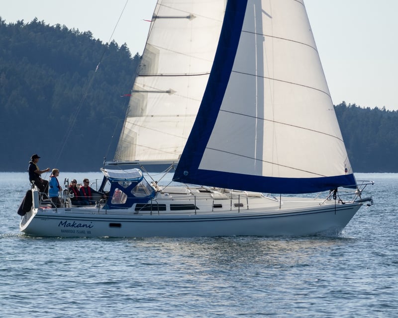 Private Half-Day Sailing & Wildlife Tour in Friday Harbor