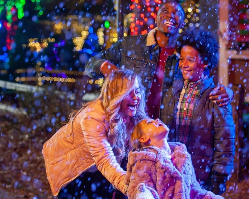 Stone Mountain Park Christmas Ticket with Drone & Light Show