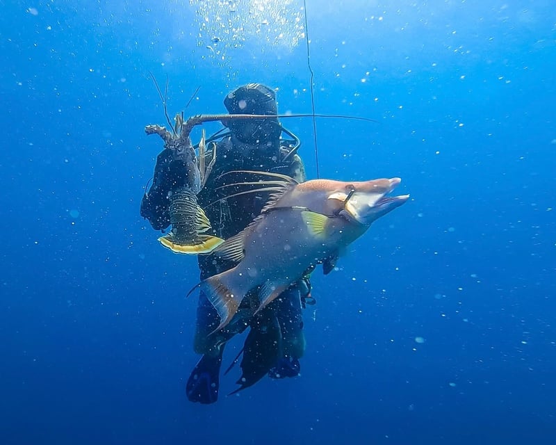 Full-Day Dry Tortugas Spearfishing Charter
