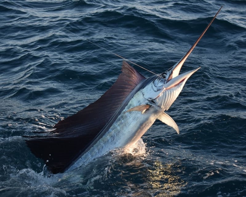 5-Hour Private Fishing Charter In Key Biscayne
