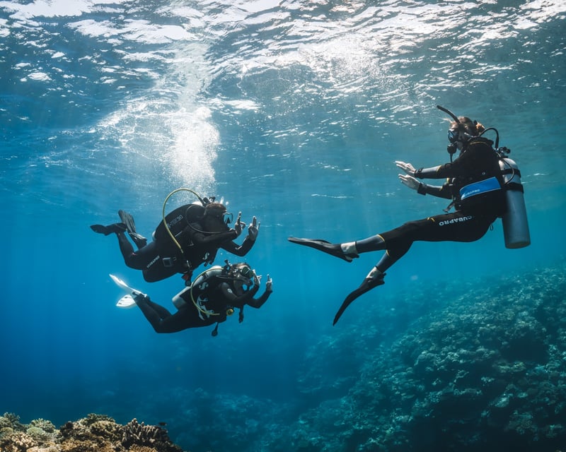 PADI Divemaster Course in Honolulu