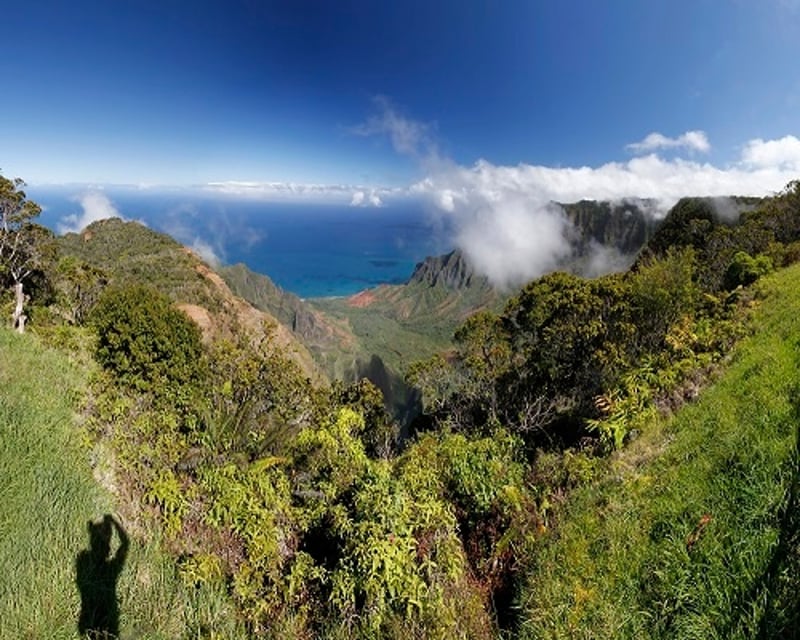 Waimea Canyon & Waterfall Tour on Kauai