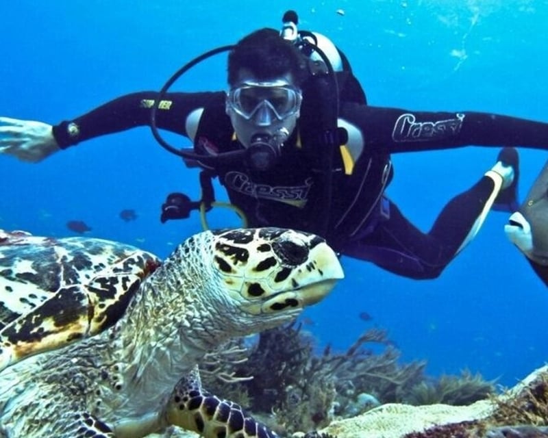 2-Tank Scuba Dive at Majahuitas from Puerto Vallarta