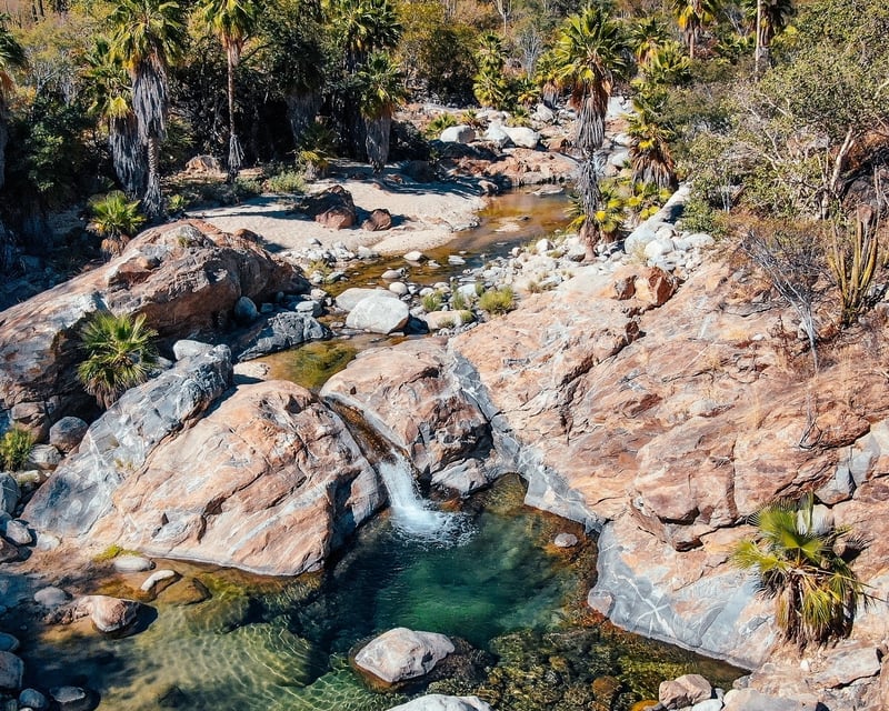 Private Desert Oasis Hike in Sierra de la Laguna