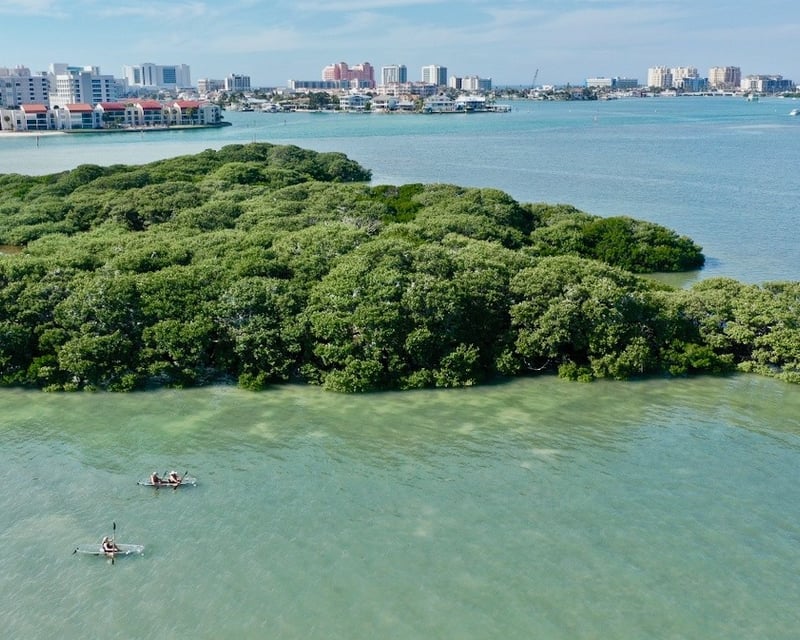 Clear Kayak Tour to Bird Preserve Island in Clearwater Beach