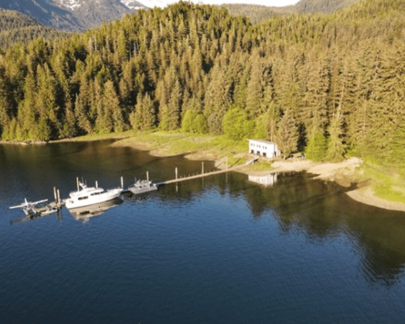 3-Hour Sitka Sound Wildlife Cruise & Homestead Visit